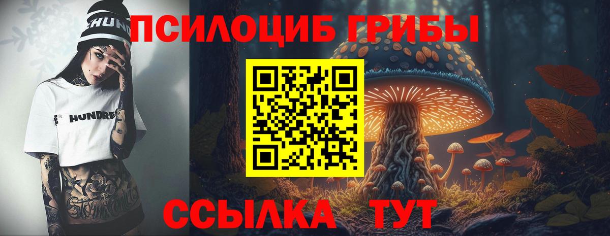 Галлюциногенные грибы Psilocybe  Галлюциногенные грибы Psilocybe  Нижнеудинск  Вход с VPN 